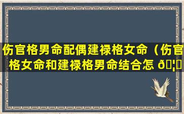 伤官格男命配偶建禄格女命（伤官格女命和建禄格男命结合怎 🦈 么样）